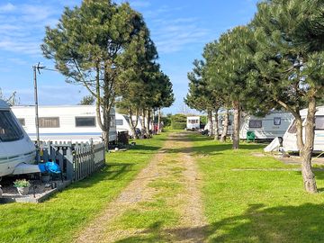Tree-shaded camping field
