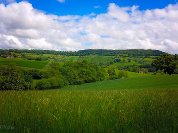 Gorgeous green view