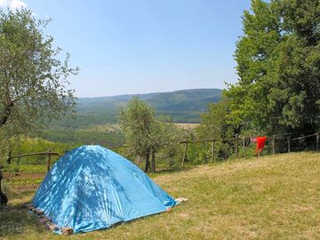 Tent pitches