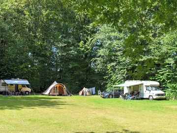 Pitch under the trees