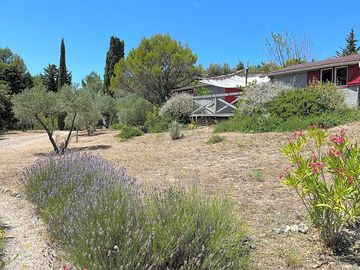 Landscaped garden around the lodge