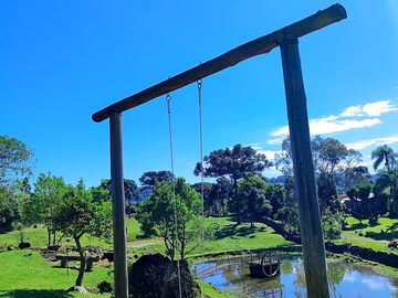 Swing and pond