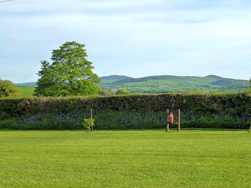 Rural views