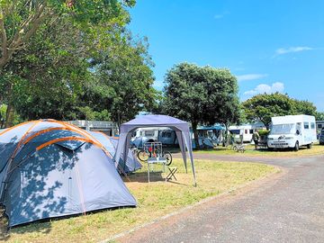 Grass pitches