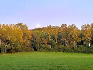 Camping field