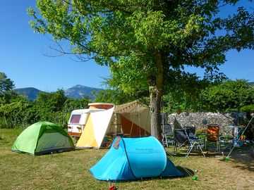 Grass pitches shaded by trees