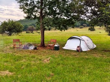Pitch under a tree