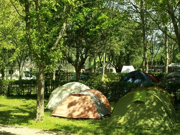 Tent pitch area