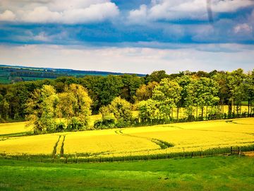 Valley view