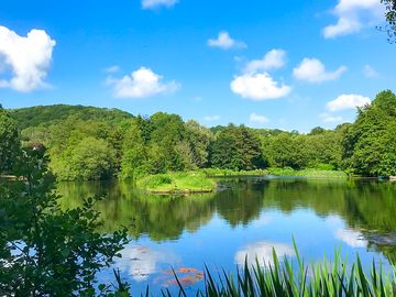 Five-acre trout fishing lake