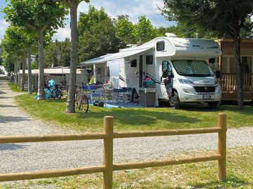Pitches lined with trees