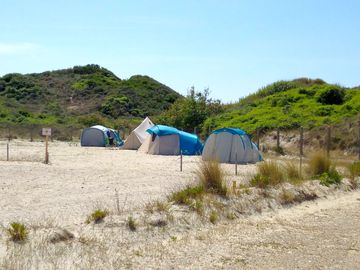 tent pitches