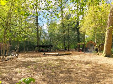 The main clearing in spring