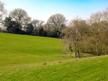 Non-electric grass pitches