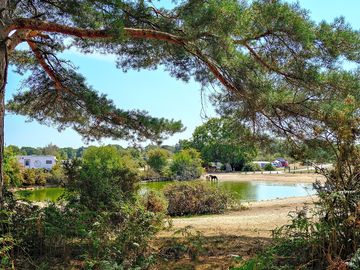 Pond at roundhill