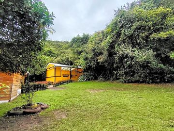 Pitches surrounded by greenery