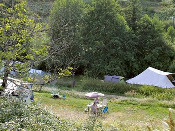 Pitches among the trees