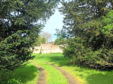 Driveway to carpark