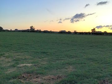 Pitches in the evening