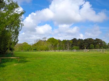 Camping field