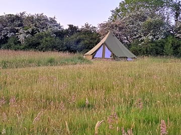 The bell tent (Foxes Den)