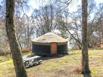 Willow exterior