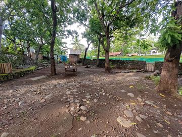 Motorhome pitches under the trees