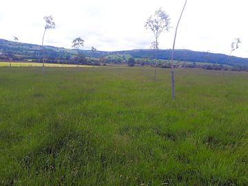 Getting ready for haymaking