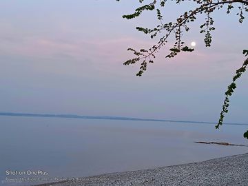 Evening view from gate at lakeside.