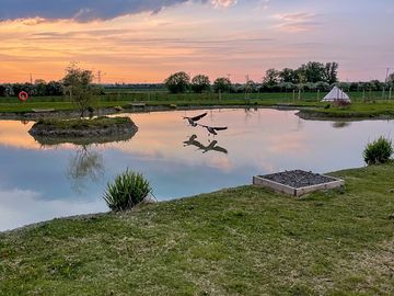 Fishing pond