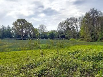 Grassy pitch