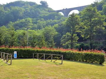 Spacious pitches surrounded by greenery