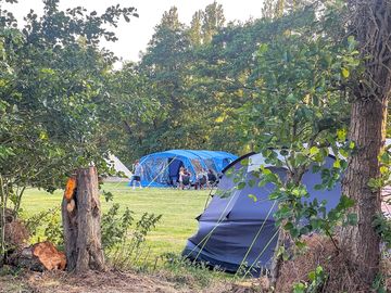 Grass tent pitches