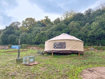 Yurt on its tree-sheltered pitch
