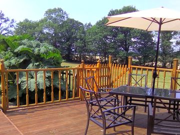 Decking overlooking the pond