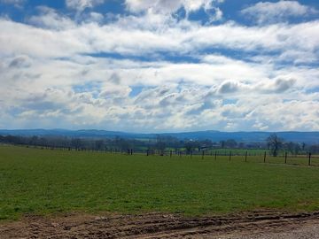 The views from the pitches over charnwood forest