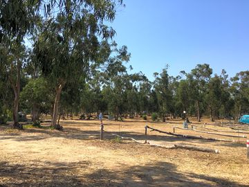 General view of the pitch area