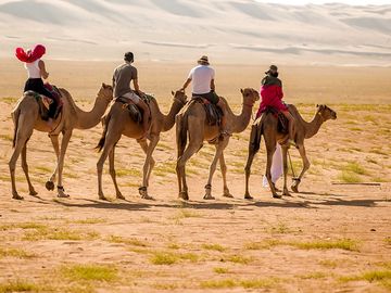 Camel rides