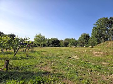 Pitches next to the vines