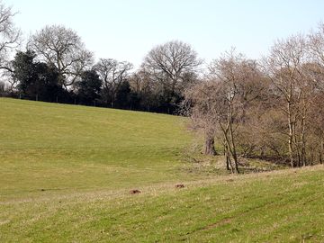 Non-electric grass pitches