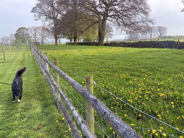 Heaton house farm
