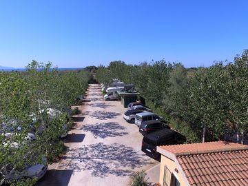 Site