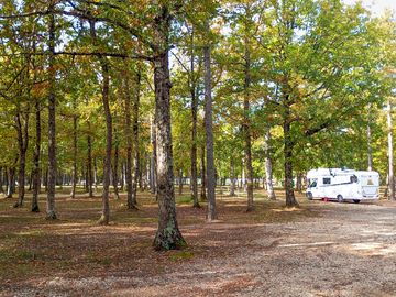 Pitches partially shaded by trees