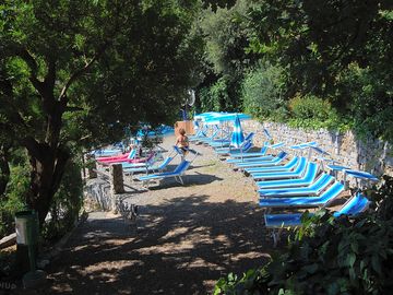 Sun loungers with a view of the beach