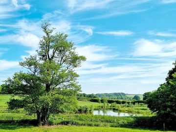 Summer is in the air at arthingworth camping
