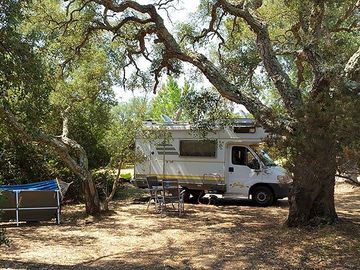Tree-shaded tourer pitches