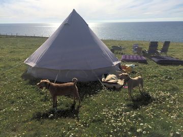 Pitched up