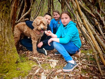 Dog-friendly site