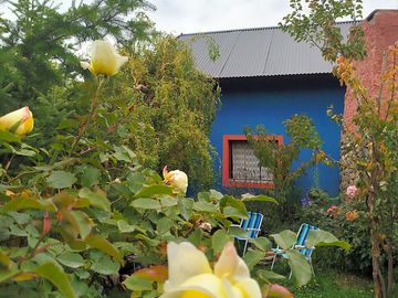 Back garden