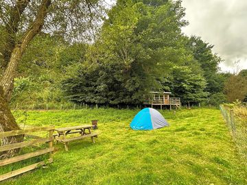 Tent pitches